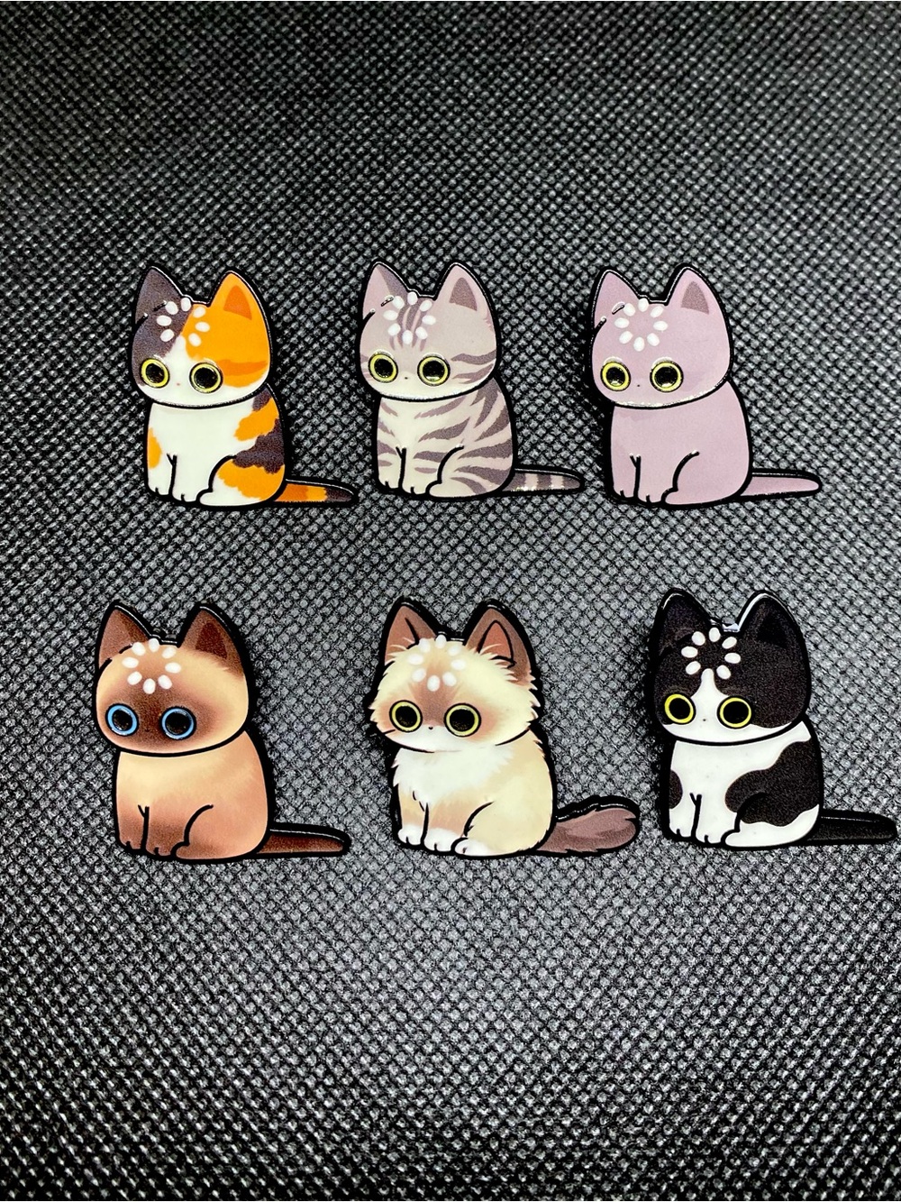 Kitty Loading Data Enamel Pin/Magnet - Who Knows What Goes On In There? Pick One